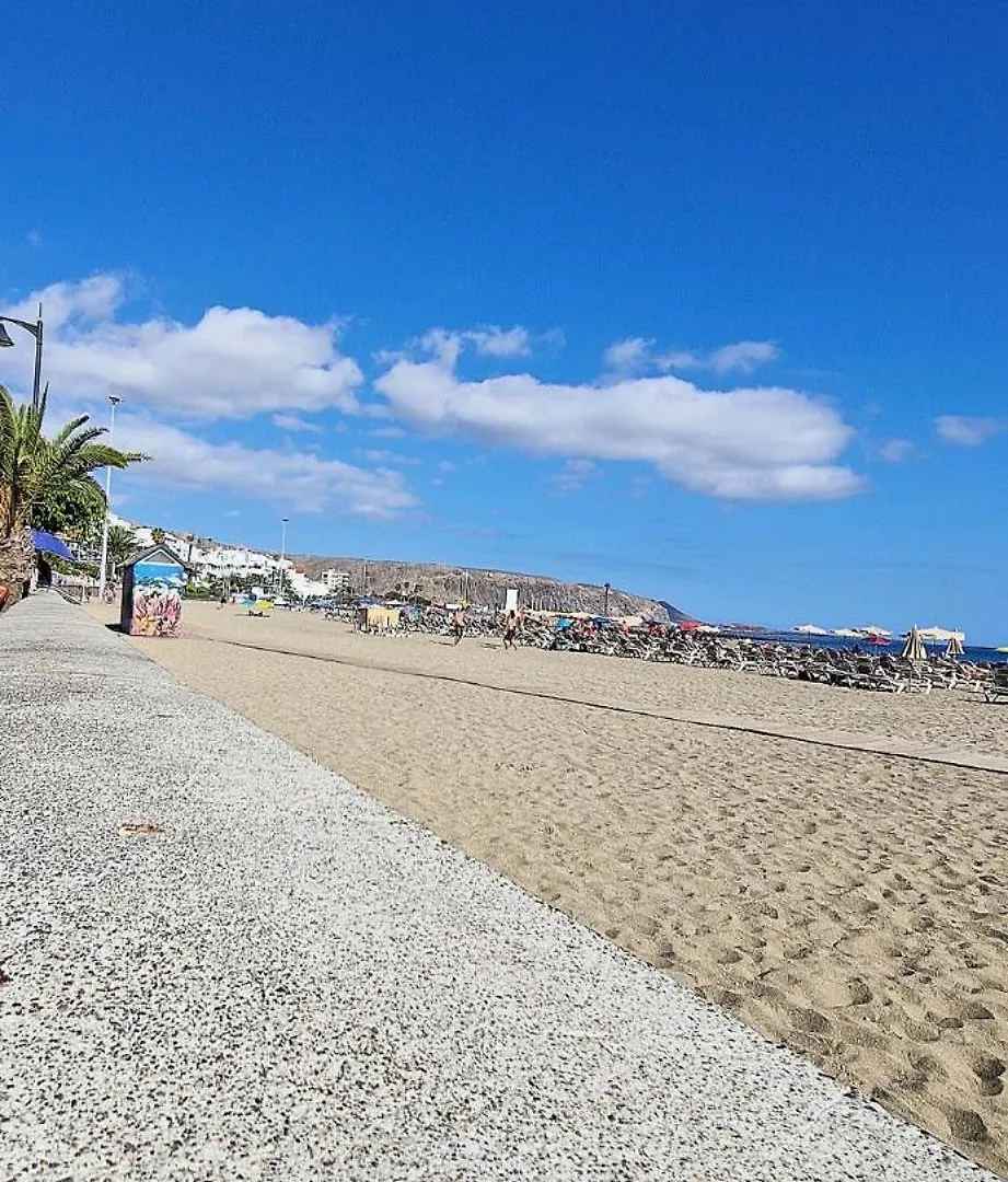 美洲海滩Torres Del Sol Luxury Las Americas公寓